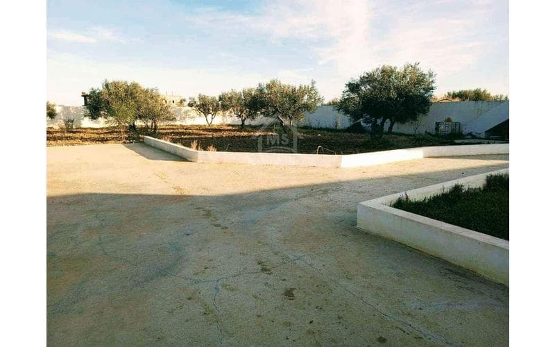 Terrain 4