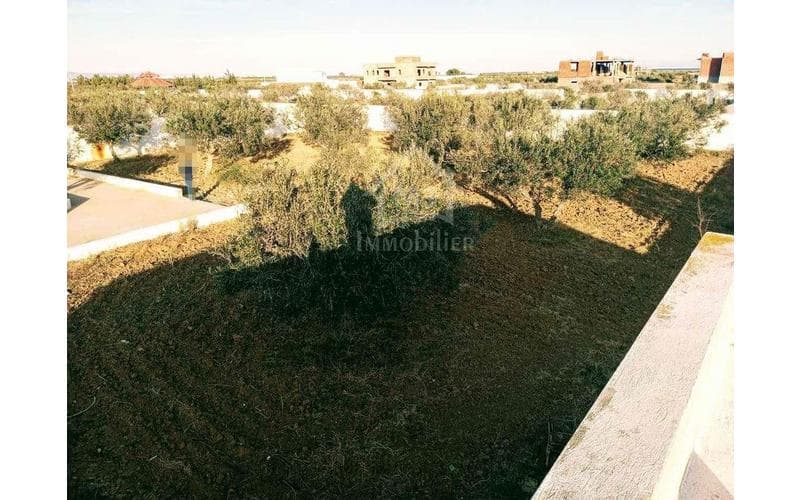 Terrain 2