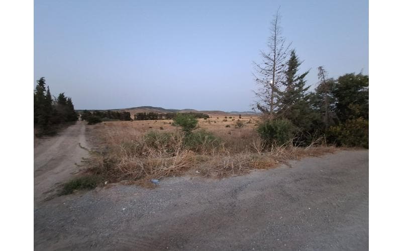 Terrain 4