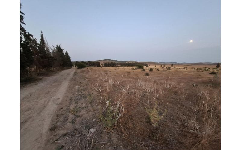 Terrain 7