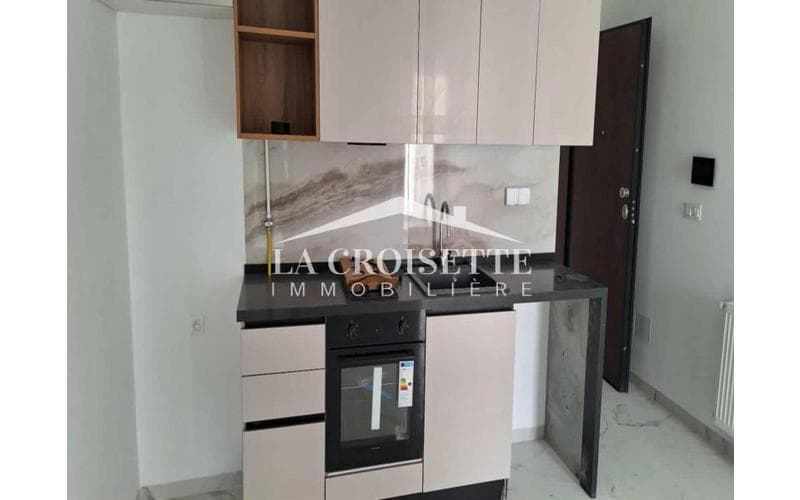Appartement s+1 3