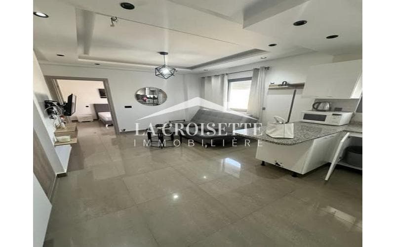 Appartement s+1