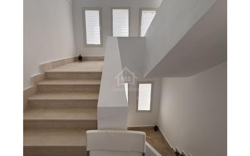 Duplex s+3 13