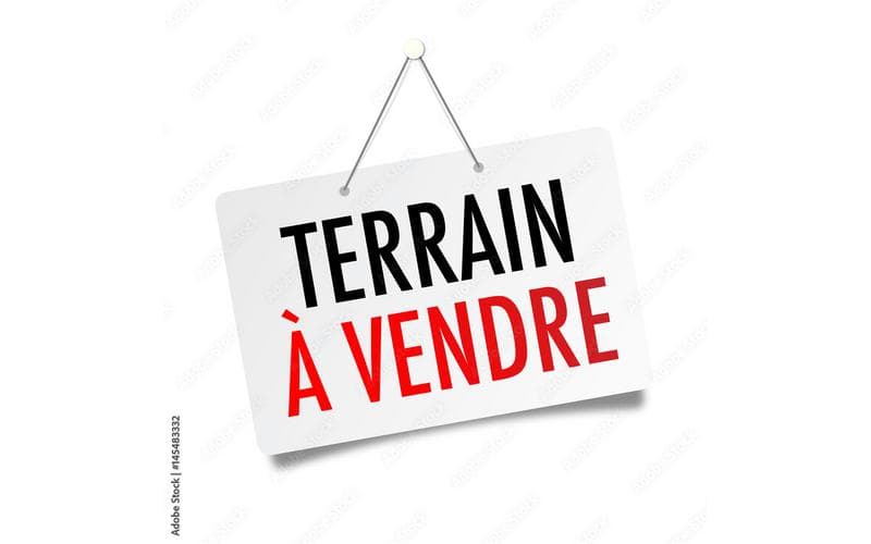 Terrain