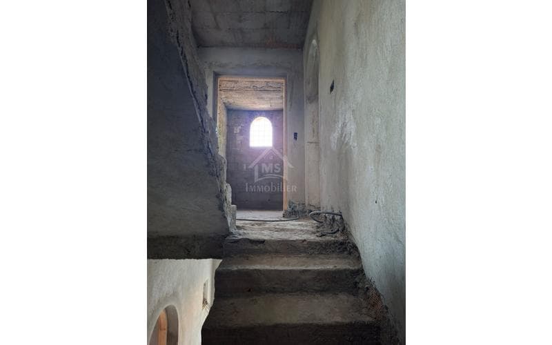 Duplex s+2 2