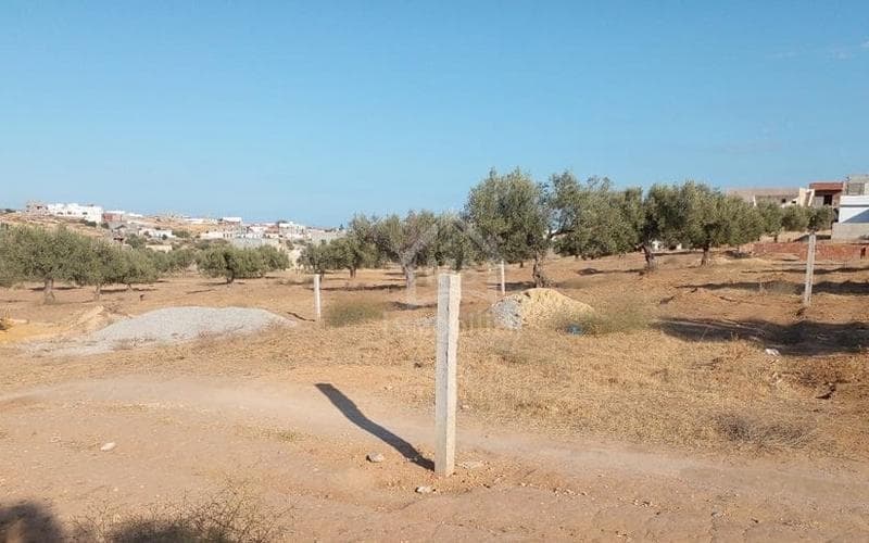 Terrain