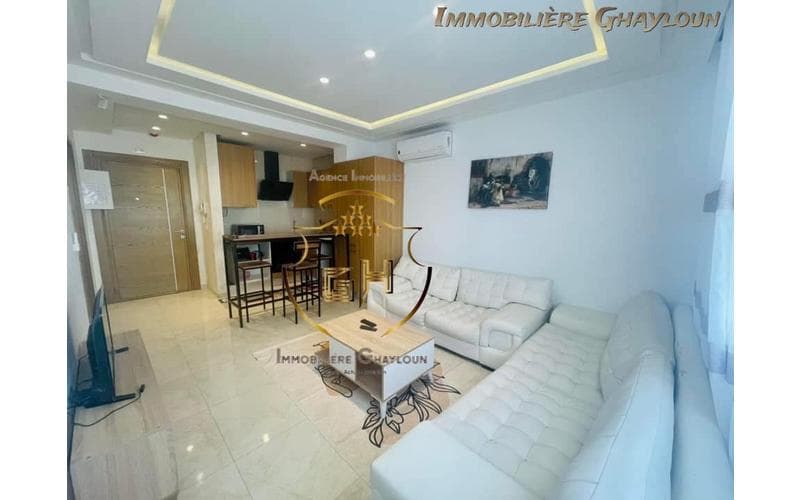 Appartement s+1