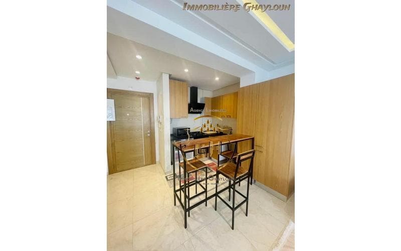 Appartement s+1 2