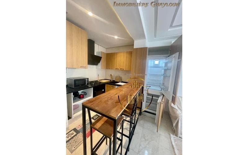 Appartement s+1 5
