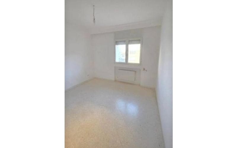 Appartement s+3 5