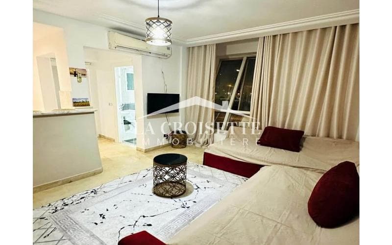 Appartement s+1 3