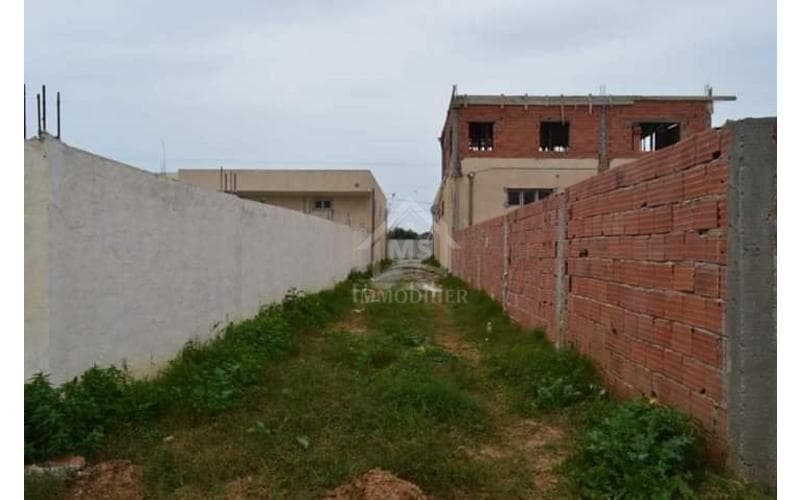 Terrain 3