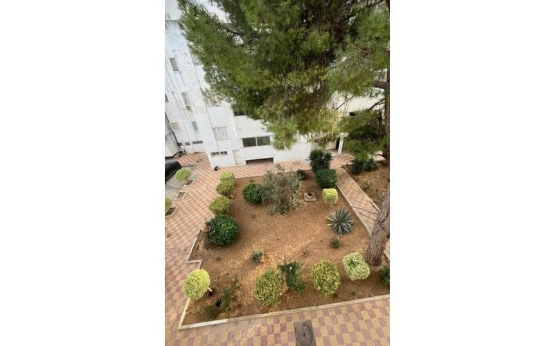 Appartement s+3 4