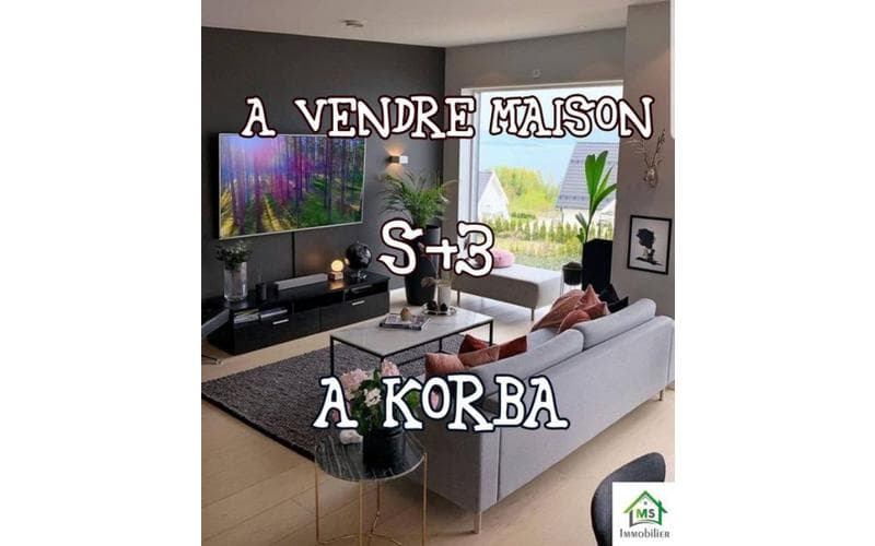 Maison s+3