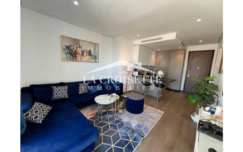 Appartement s+1 4