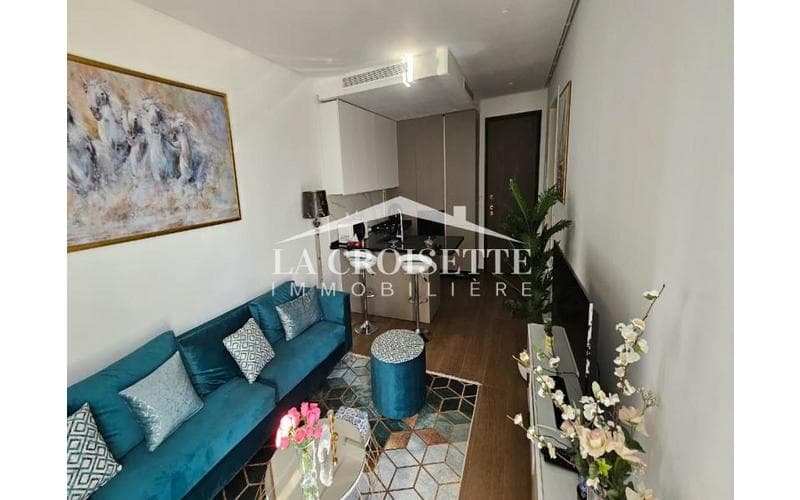 Appartement s+1 3