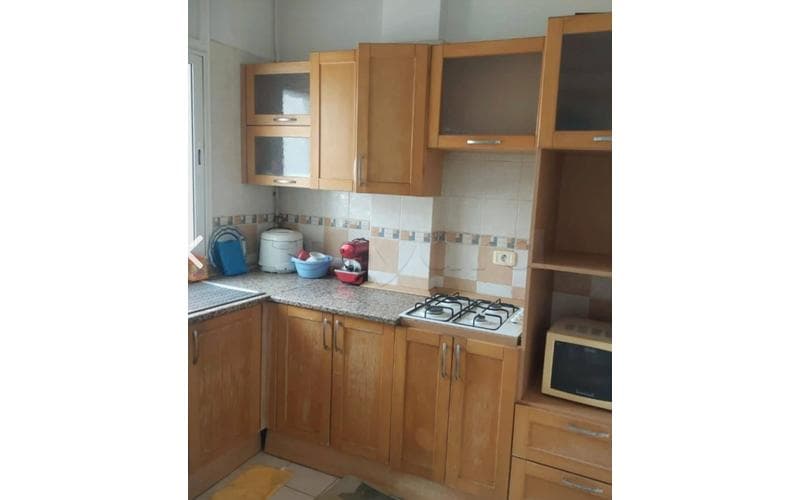 Appartement s+1 3