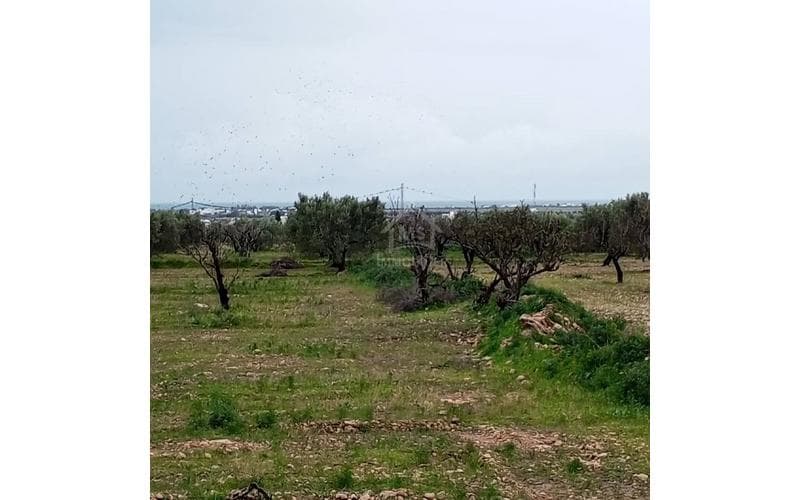 Terrain 2