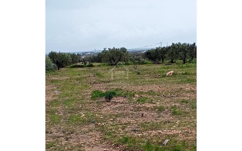 Terrain 3