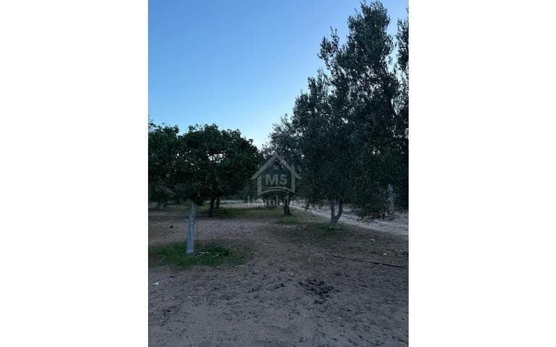 Terrain 3