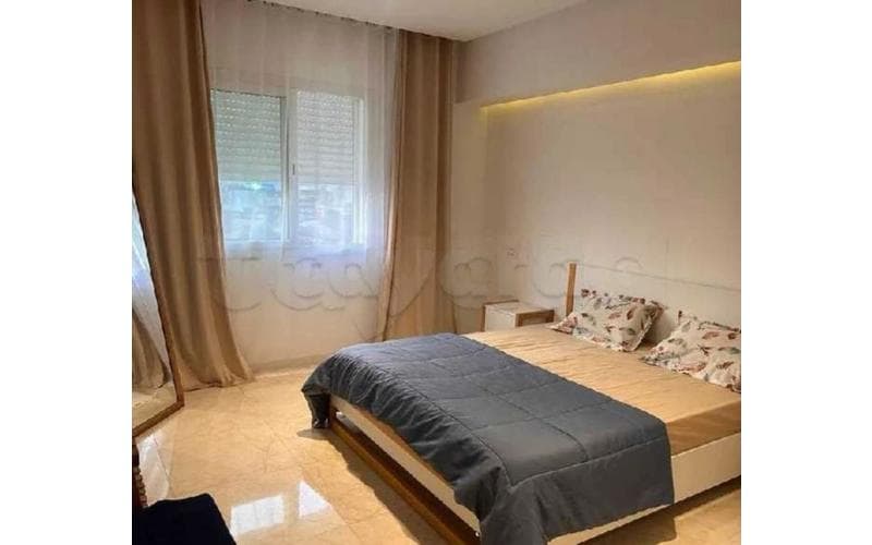 Appartement s+1 3