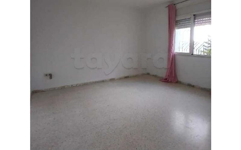 Appartement s+1