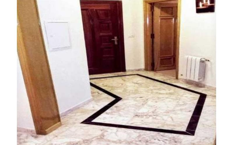 Appartement s+1