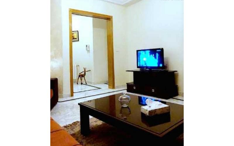 Appartement s+1 4