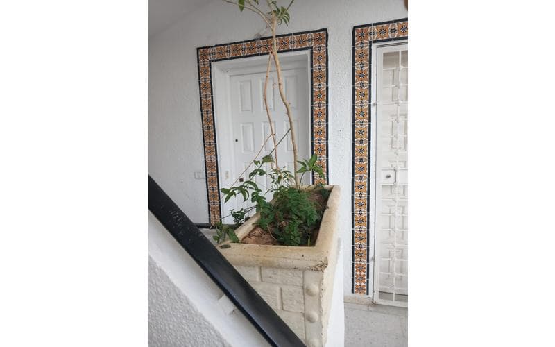 Appartement studio 6