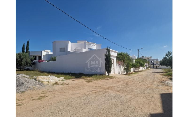 Terrain 8