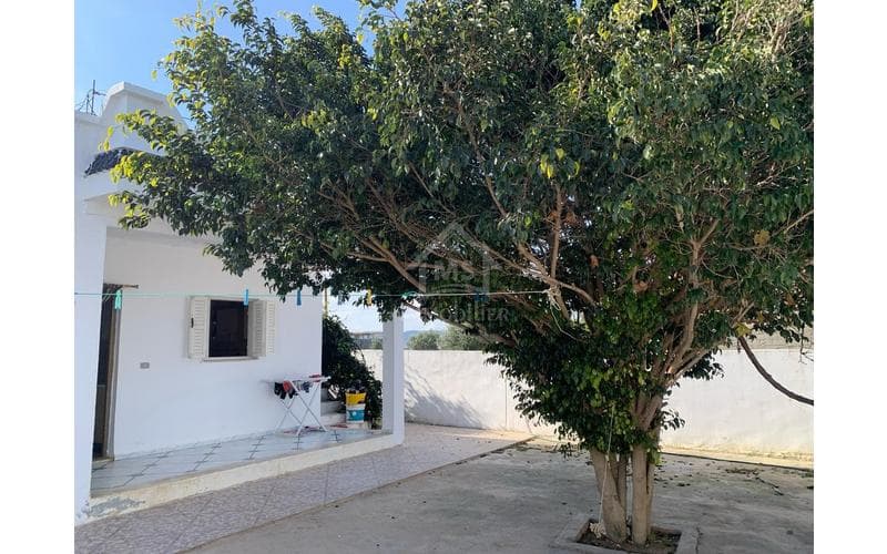 Maison s+2 11