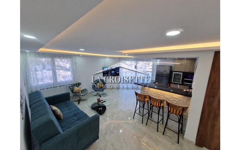 Appartement s+1 3
