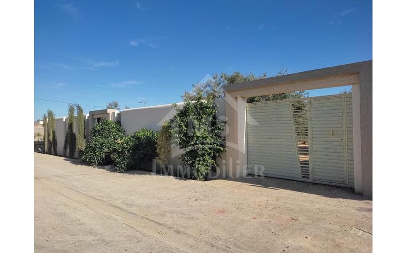 Terrain 2