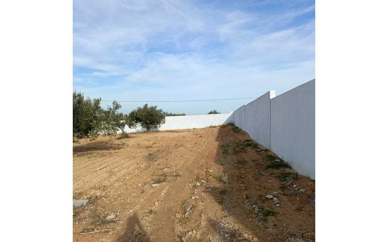 Terrain 2