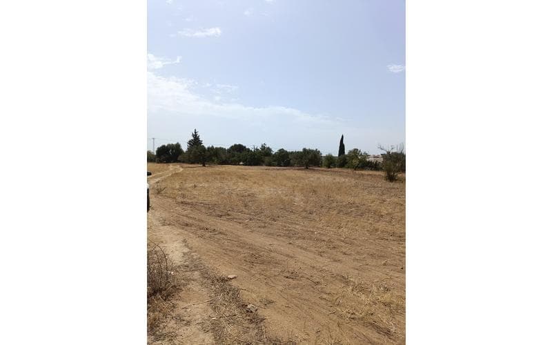 Terrain 2