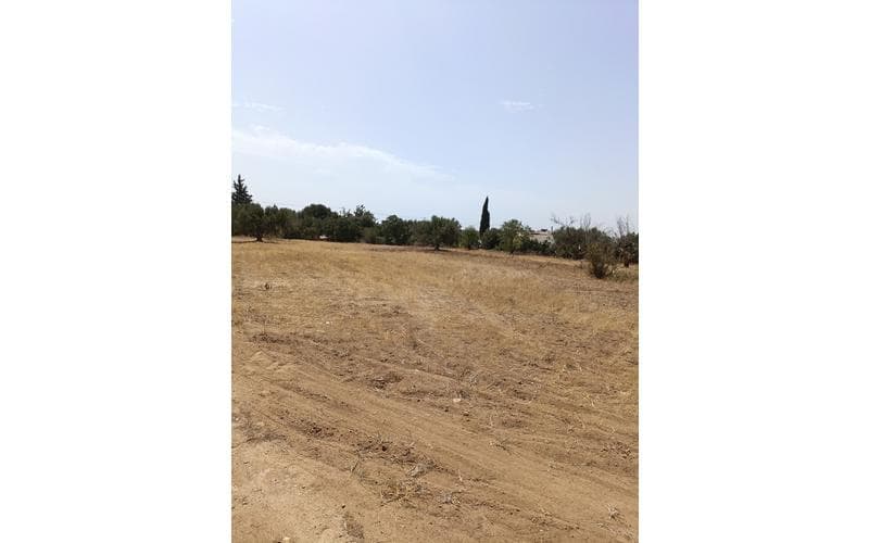 Terrain 4