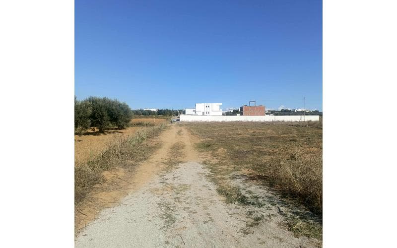 Terrain 2
