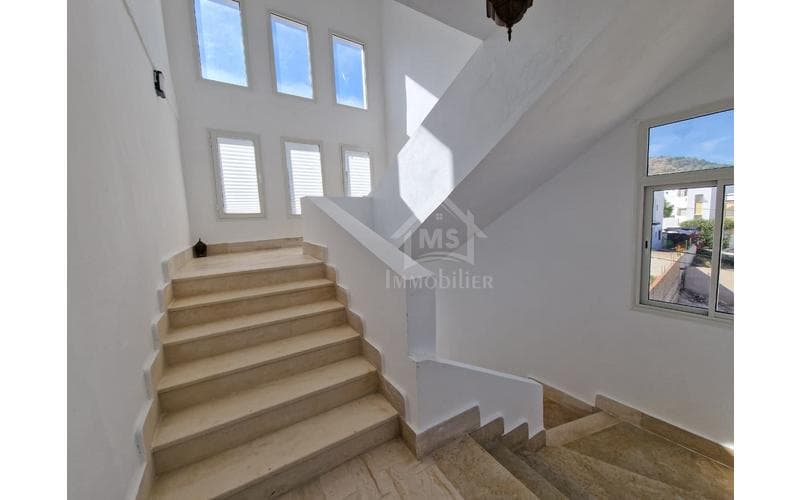 Duplex s+3 7