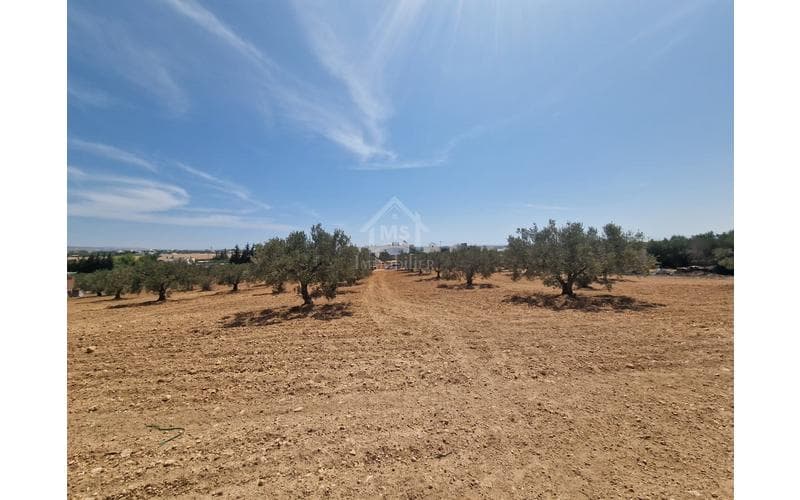 Terrain 3