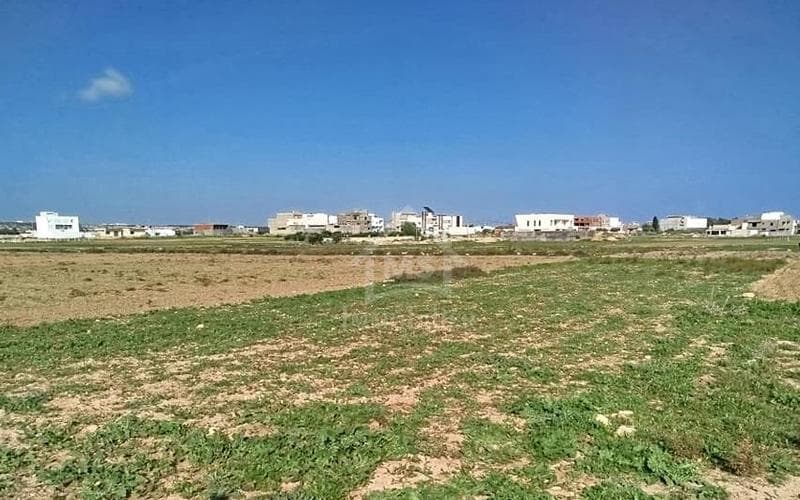 Terrain 2