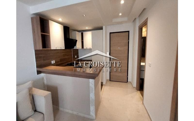 Appartement s+1