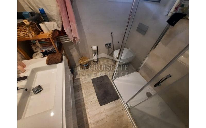 Appartement s+4