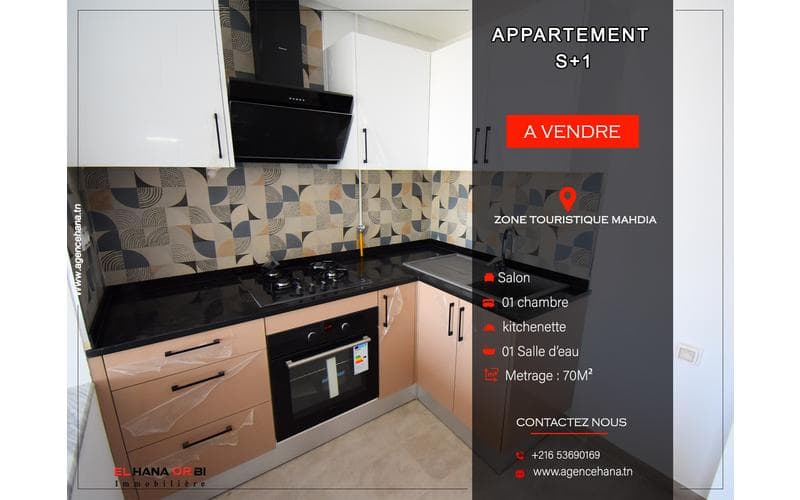 Appartement s+1
