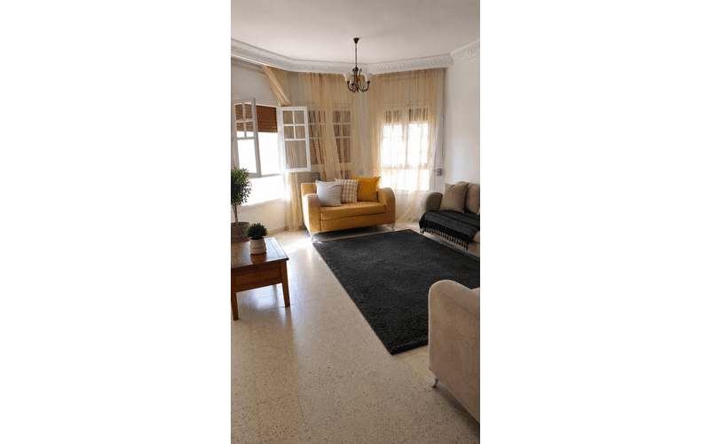 Appartement s+3 3
