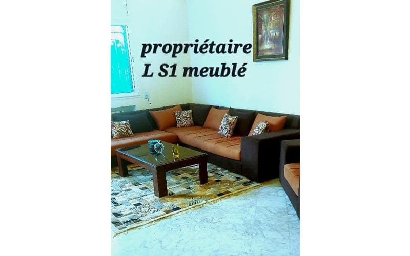 Appartement s+1