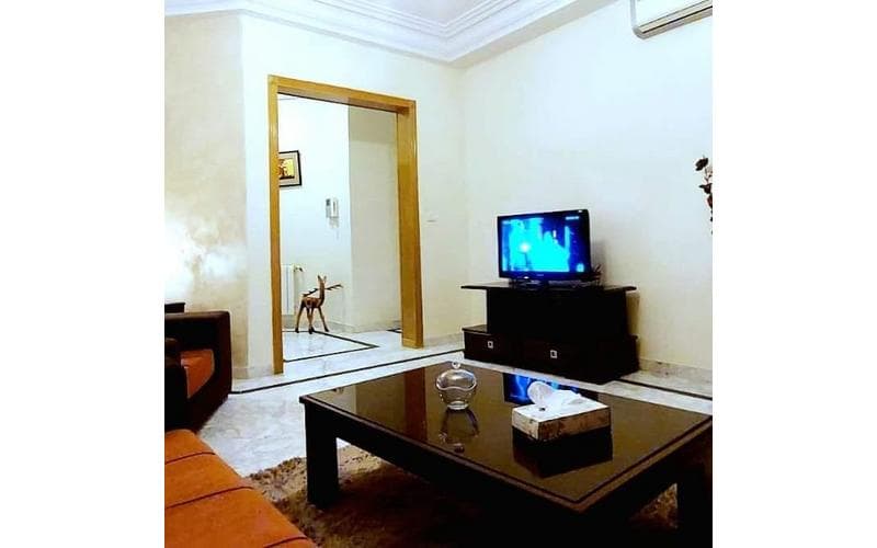 Appartement s+1 3