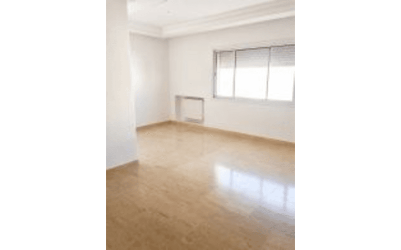 Appartement s+3 2