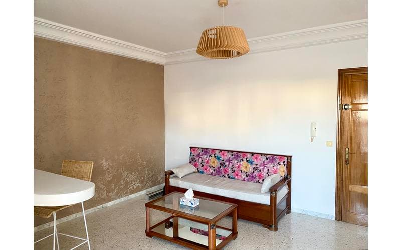 Appartement s+1