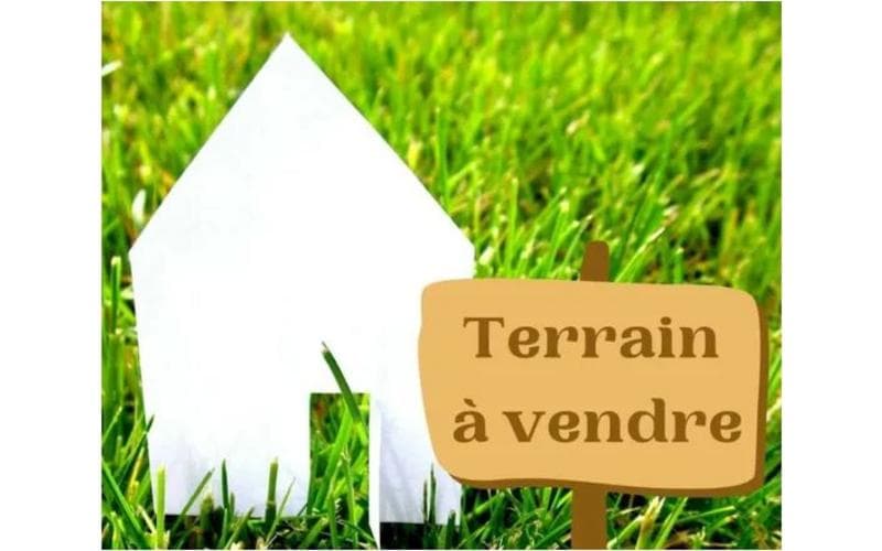 Terrain