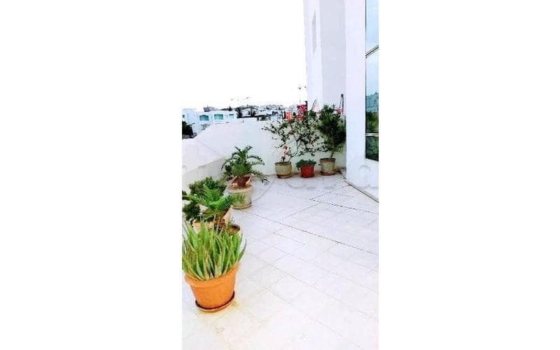 Appartement s+2 11